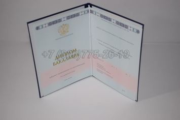 Диплом Бакалавра 2025г ГОЗНАК в Ульяновске
