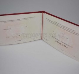 Диплом Кандидата Наук 2020г в Ульяновске