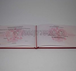 Диплом Кандидата Наук 2014г в Ульяновске