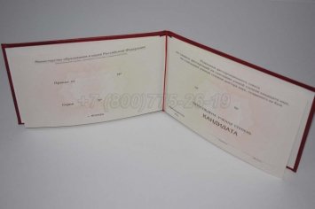 Диплом Кандидата Наук 2017г в Ульяновске