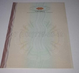 Академическая Справка ВУЗа 2015г в Ульяновске