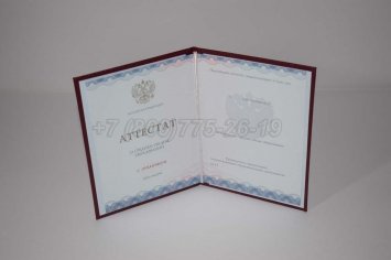 Аттестат За 11 Класс 2021г Золото ГОЗНАК в Ульяновске