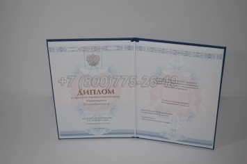 Диплом Техникума 2025г ГОЗНАК в Ульяновске