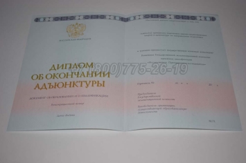 Диплом Адъюнктуры 2024г в Ульяновске