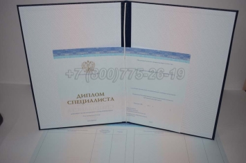 Диплом о Высшем Образовании 2024г СпецБланк в Ульяновске