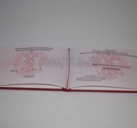 Диплом Доктора Наук 2020г в Ульяновске