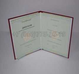Диплом о Переподготовке 2022г СпецБланк в Ульяновске