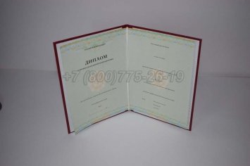 Диплом о Переподготовке 2022г СпецБланк в Ульяновске