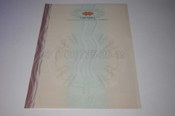 Академическая Справка ВУЗа 2017г в Ульяновске