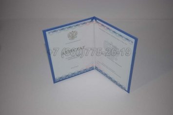 Аттестат За 11 Класс 2022г ГОЗНАК в Ульяновске