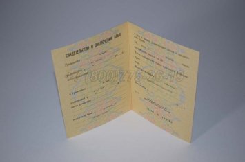 Свидетельство о Браке 1989г РСФСР в Ульяновске