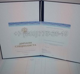 Диплом о Высшем Образовании 2019г СпецБланк в Ульяновске