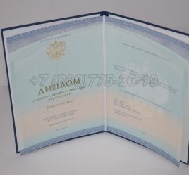 Диплом Техникума 2022г СпецБланк в Ульяновске