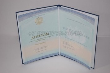Диплом Техникума 2022г СпецБланк в Ульяновске