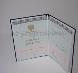 Диплом Магистра 2024г ООО "Знак" в Ульяновске