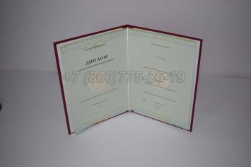 Диплом о Переподготовке 2023г СпецБланк в Ульяновске