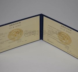 Диплом Техникума Киргизской ССР в Ульяновске