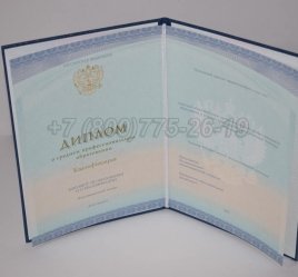 Диплом Техникума 2023г СпецБланк в Ульяновске