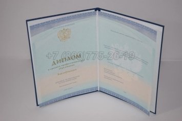 Диплом Техникума 2023г СпецБланк в Ульяновске