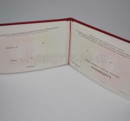 Диплом Кандидата Наук 2023г в Ульяновске