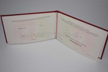 Диплом Кандидата Наук 2023г в Ульяновске