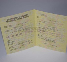 Свидетельство о Рождении 1983г Киргизской ССР в Ульяновске