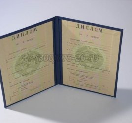 Диплом о Высшем Образовании Украинской ССР в Ульяновске