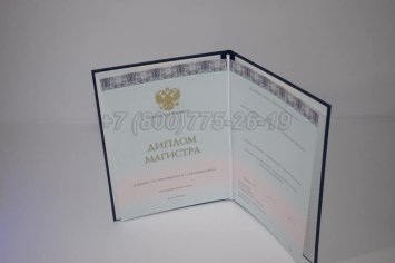 Диплом Магистра 2023г ООО "Знак" в Ульяновске